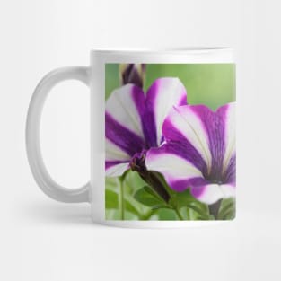 Petunia  &#39;Peppy Blue&#39; Mug